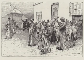 Egyptian Donkeys in the Cairo Street at the Paris Exhibition